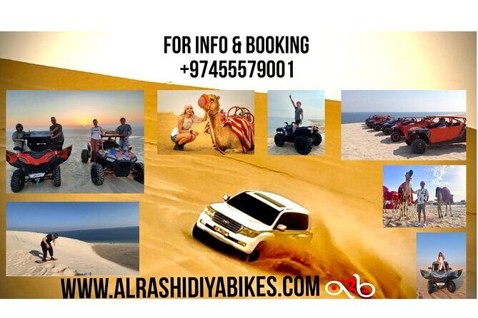 Desert Safari Dune Bashing Camel Ride Sand Surfing Atv or Buggy - Key Points