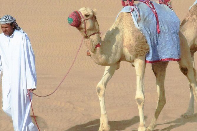 Desert safari, Dune bashing, sandboarding, camel, ATV Option - A Deep Dive into What You Can Expect