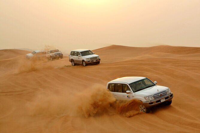 Desert Safari Experience with Dune Bashing and Dinner in Dubai - What You Can Expect from the Experience