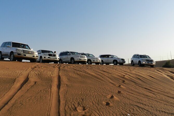 Desert Safari in Dubai Red Dunes with BBQ VEG Dinner - Who Is This Tour Best For?