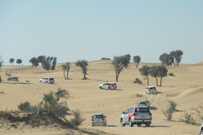 Desert Safari in Dubai with full package - no hidden cost - Why Choose This Desert Safari?