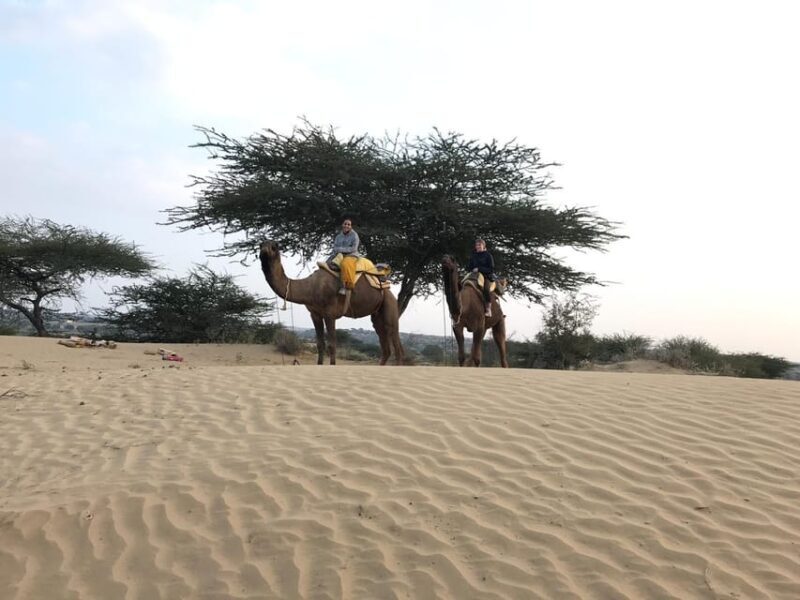 Desert Safari In Jodhpur - Practical Details and Booking
