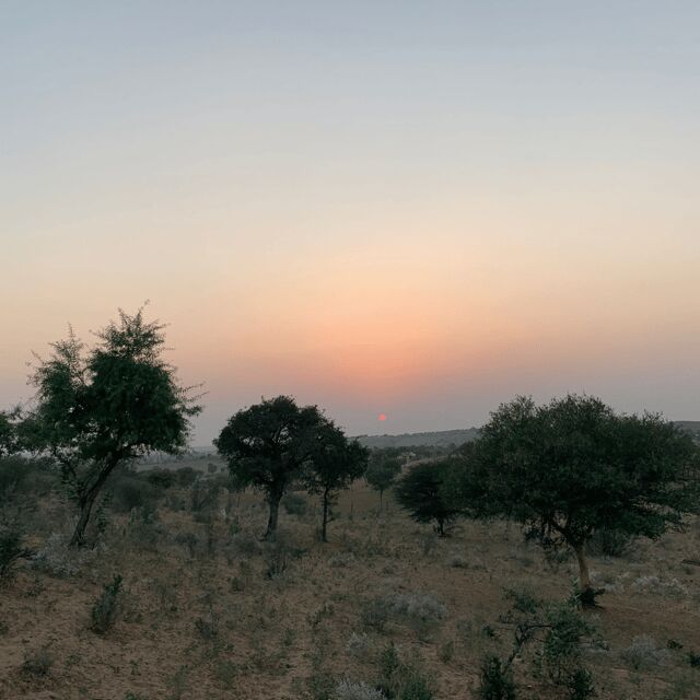 Desert Safari In Jodhpur - Who Will Love This Experience?