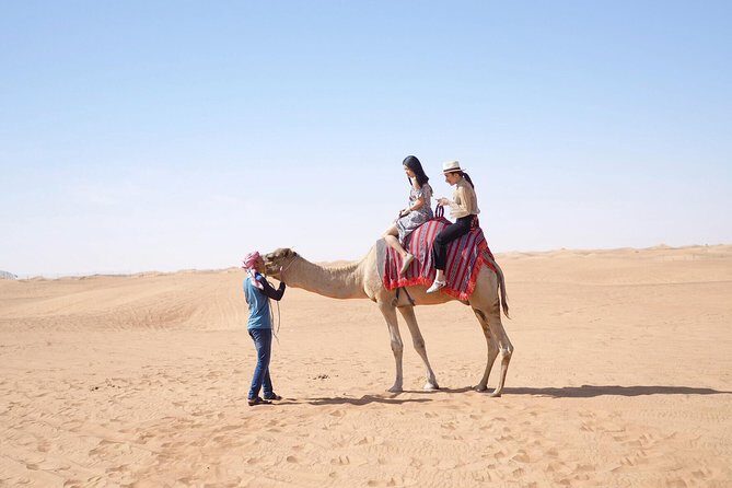 Desert Safari Morning with Camel Ride and Sand Boarding - Deep Dive into the Desert Safari Experience