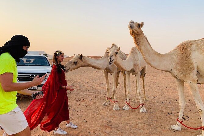 Desert Safari, Open Desert Quad Bike Experience with BBQ Dinner - The Sum Up