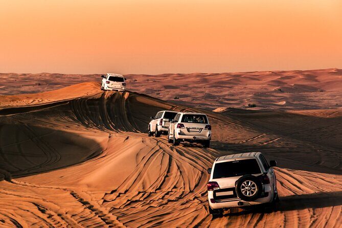 Desert Safari Premium Adventure with Pickup included - Key Points