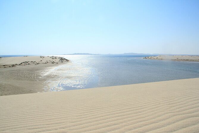 Desert Safari, Quad Bike, Sandboarding and Camel Ride - Who Is This Tour Best For?