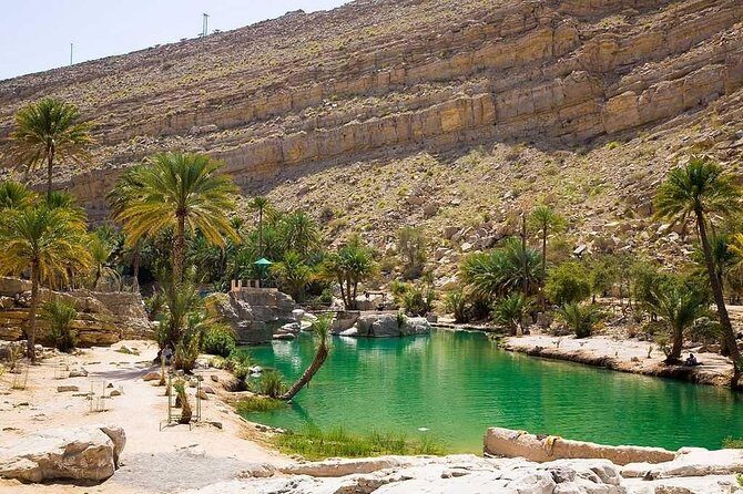 Desert Safari Sharing Tours - Who Might Want to Think Twice?
