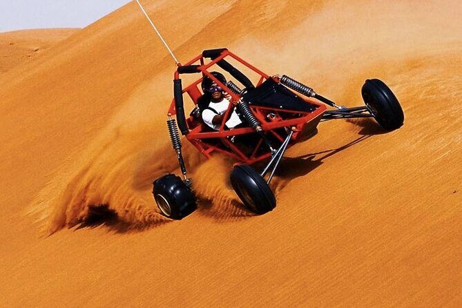 Desert Safari Tour, 6 Hour Fun, Family & Friends, Camel Ride & Dinner Included - Final Thoughts