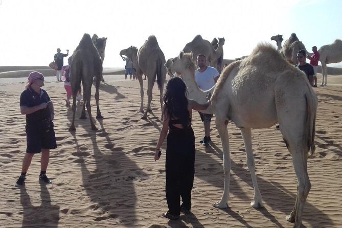 Desert Safari Tour, Quad Bike with BBQ Dinner & Show from Dubai - Final Thoughts
