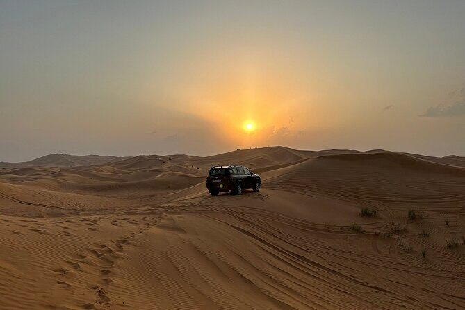 Desert Safari with 30 minutes Buggy Ride with Camel Ride & Dinner - Practical Tips & Considerations