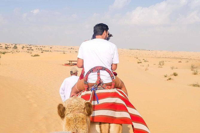 Desert Safari With Barbeque (BBQ) Dinner - An In-Depth Look at the Desert Safari Experience