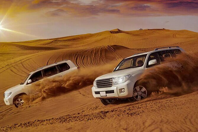Desert Safari with BBQ dinner and camel ride - An In-Depth Look at the Tour Experience
