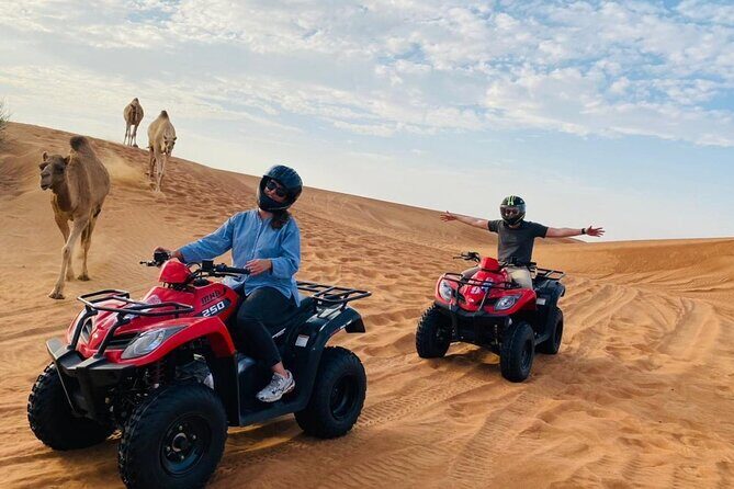 Desert Safari with BBQ Dinner, Camel Ride, Sand Board & Live Show - FAQs
