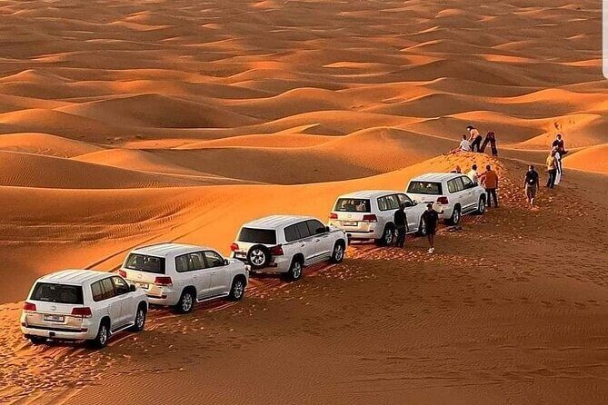 Desert Safari With BBQ Dinner, Camel Ride, Sand Boarding In Dubai - A Closer Look at the Itinerary: What to Expect