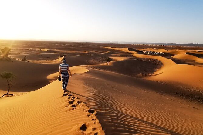 Desert Safari With BBQ Dinner, Quad Ride And And Sand-boarding - FAQ