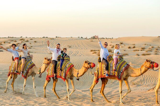 Desert Safari With Camel Ride and Dinner - Who Will Love This Tour?