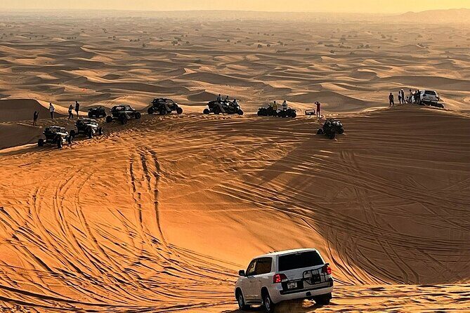 Desert Safari with Camel Ride, BBQ Dinner, Sand Board & Live Show - Key Points