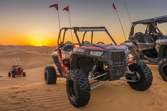 Desert Safari with Camel Ride, BBQ Dinner, Sand Board & Live Show - What Sets This Tour Apart
