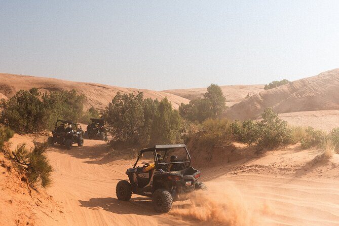 Desert Safari with Camel Ride, BBQ Dinner, Sand Board & Live Show - FAQs