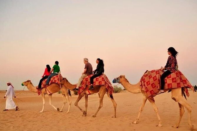 Desert Safari With Camel Ride - The Experience Breakdown