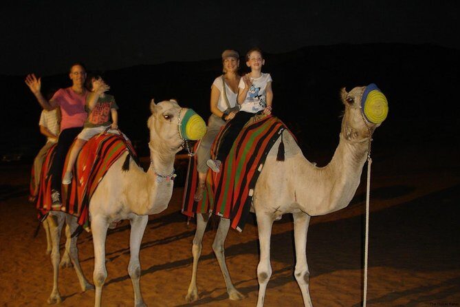Desert Safari With Camel Ride - Who is This Tour Best For?