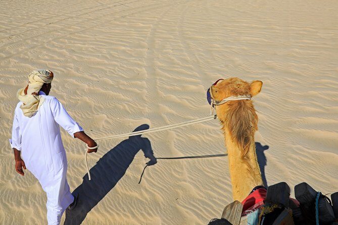 Desert Safari with Camel Ride, Sand Boarding & Inland Sea Tour in Doha - The Sum Up