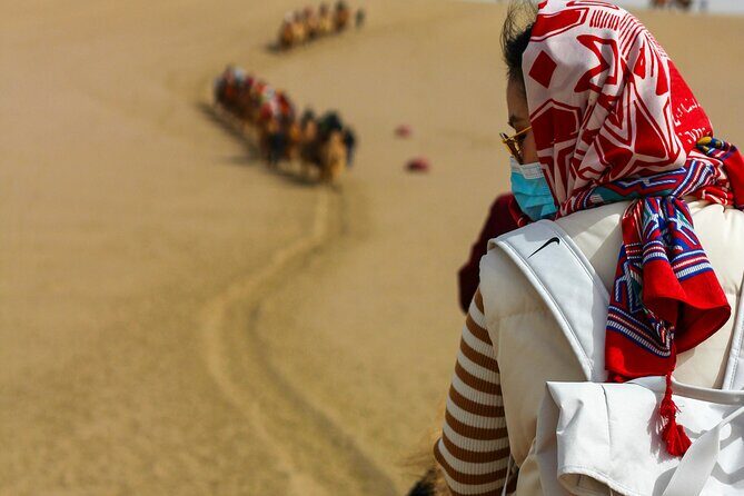 Desert Safari with Camel Riding and BBQ Dinner - Exploring the Itinerary in Detail