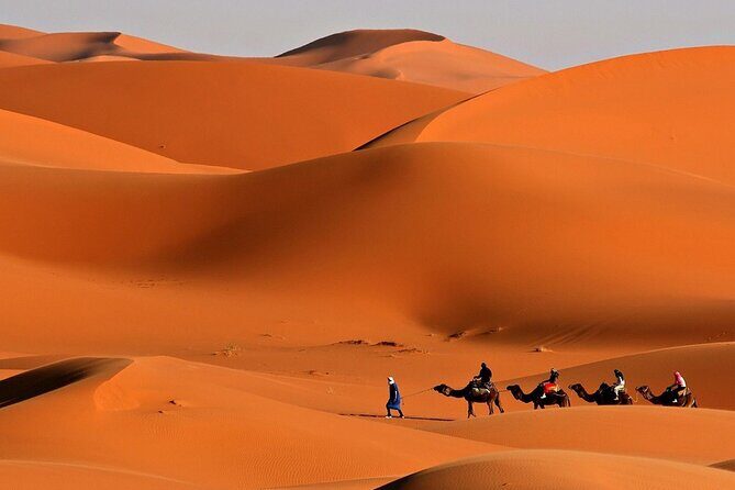 Desert Safari with Quad Bike Ride in Red Dunes - The Sum Up