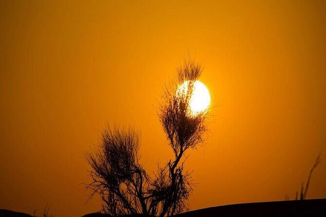 Desert Safari with Red Dune Buggy and Camel Ride Dubai - FAQs