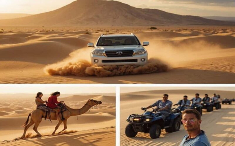 Desert Safari,Inland Sea Tour Including CamelRide & Transfer - A Closer Look at the Desert Safari Experience