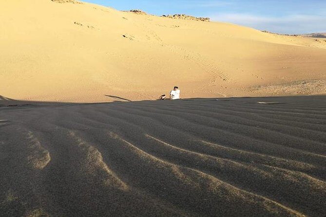 Desert Sahara Sand Dunes in Agadir - Authenticity & Reviews