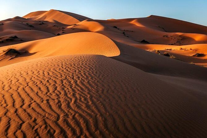 Desert Sand Boarding Tour from Agadir or taghazout - Who Will Love This Tour?
