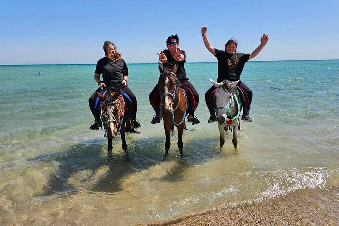 Desert & Sea Adventure  3-Hour Horse or Camel Riding Experience - Key Points