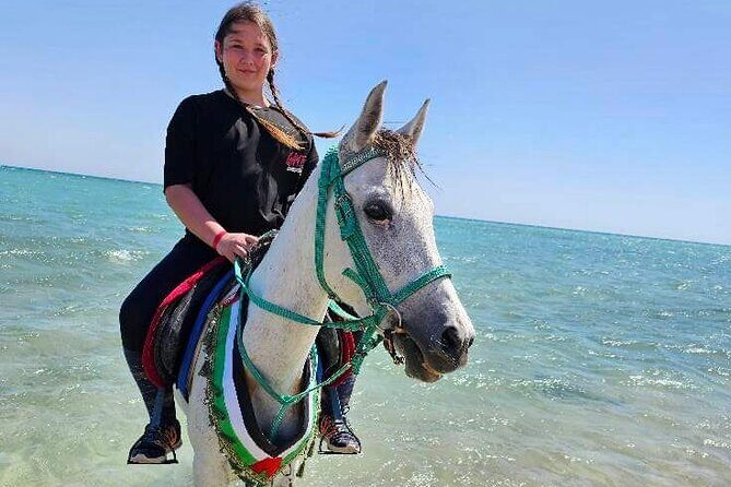 Desert & Sea Adventure  3-Hour Horse or Camel Riding Experience - Practical Details and Value