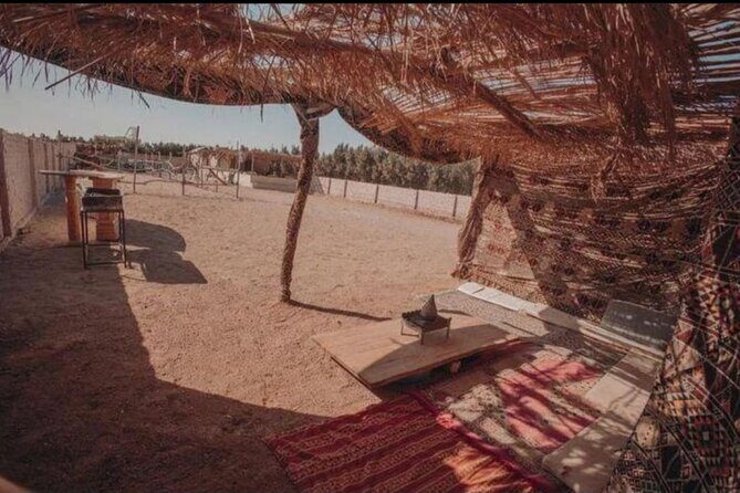 Desert & Sea Adventure  3-Hour Horse or Camel Riding Experience - Who Will Love This Tour?