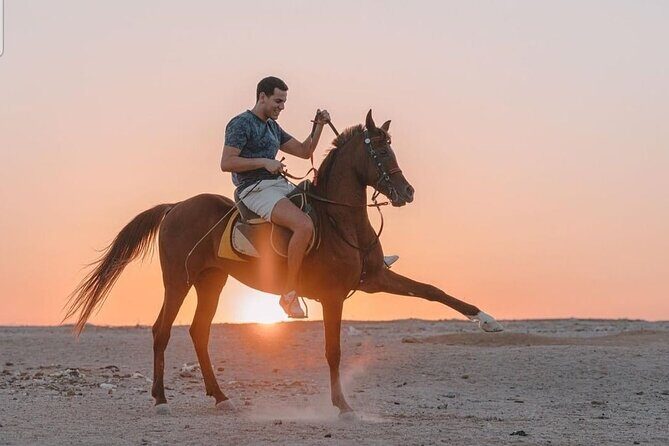 Desert & Sea Adventure  3-Hour Horse or Camel Riding Experience - The Sum Up