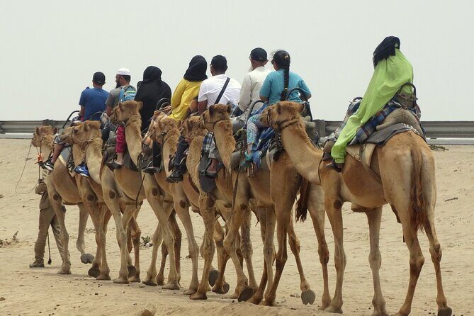 Desert Sunset Camel Ride With Free Tea in The Desert Camp - Who Should Consider This Tour?