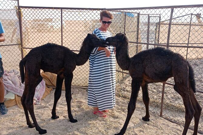 Desert Sunset Tour VisitSalalah - A Closer Look at the Itinerary