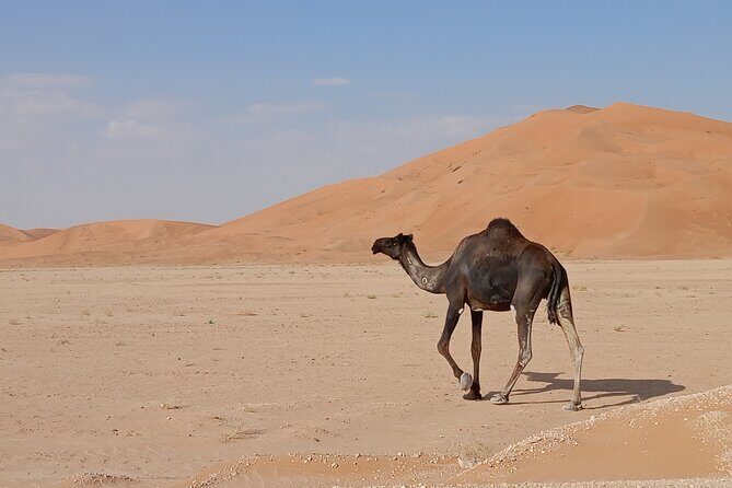 Desert Sunset Tour VisitSalalah - The Experience of the Sunset and Night Sky