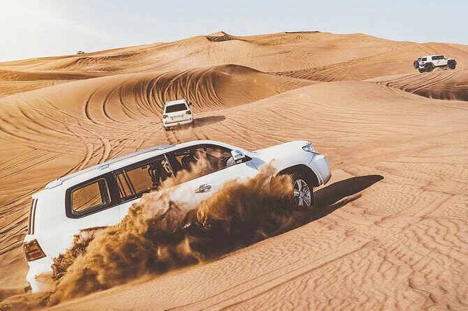 Desert Thrills Wild Dunes Safari in Doha - Key Points
