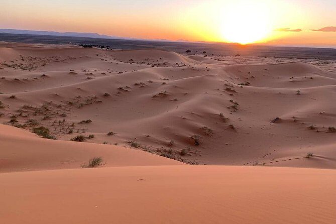 Desert tour 3 days from Fes to Marrakech - What to Expect from the Transport and Guides