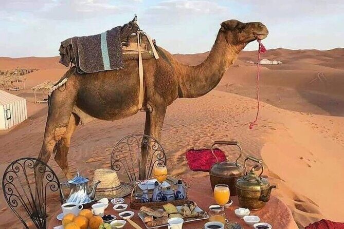 Desert tour from marrakech - Key Points