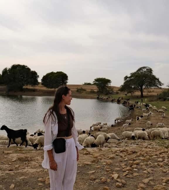 Desert Tour Jaisalmer - FAQ: Your Quick Guide to the Desert Tour Jaisalmer