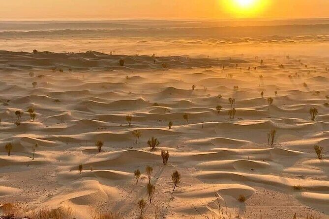 Desert tours and adventurous camel trekking through the Sahara - A Deep Dive into the Sahara Adventure