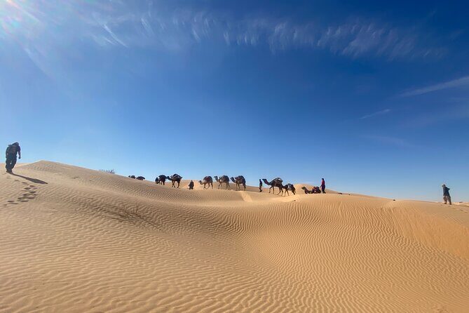 Desert tours and adventurous camel trekking through the Sahara - Authentic Experiences That Make a Difference