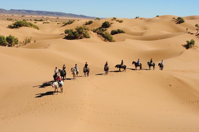 Desert Trail in Morocco on Horseback - Authentic Reviews and Insights