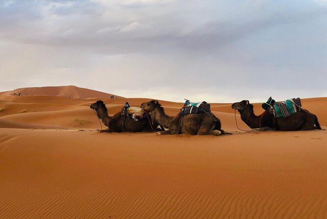 Desert Trip from Fes to Fes via Merzougua (2days,1night) - Key Points
