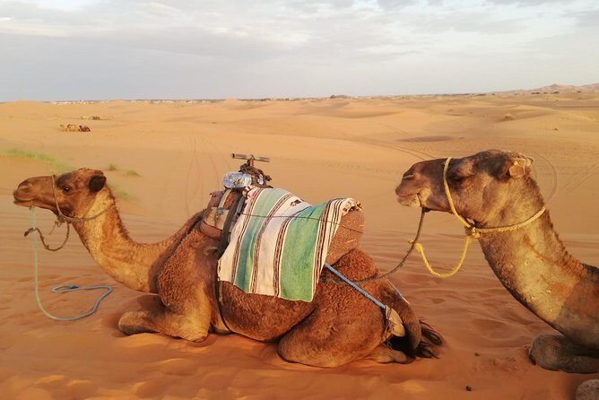 Desert Trip from Fes to Fes via Merzougua (2days,1night) - What’s Included and What’s Not
