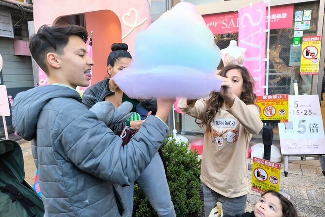 Design Your Day Fully Customized Tour with Private Car Tasty Food - Exploring Tokyo at Your Own Pace